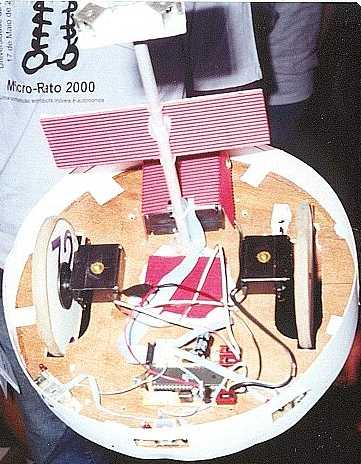 A simplicidade do vencedor (geral e simpatia).